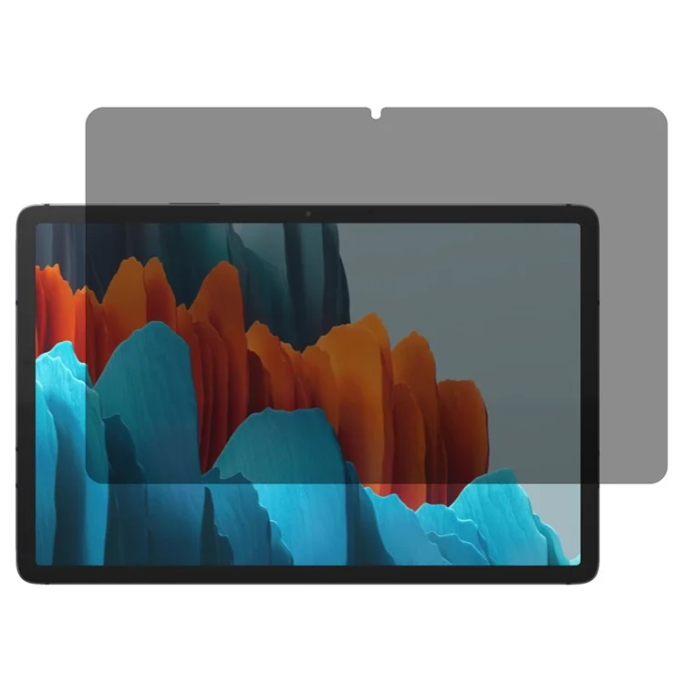 For Samsung Galaxy Tab S10 FE / S9 FE / S9 / S8 / S7 Screen Protector Anti-Spy Tempered Glass 0.3mm Arc Edge Film