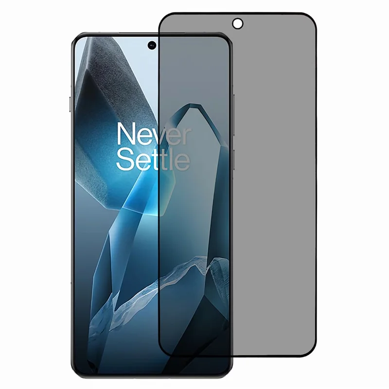 For OnePlus 13 Screen Protector Anti-Spy 3D Curved Tempered Glass Film Side Glue