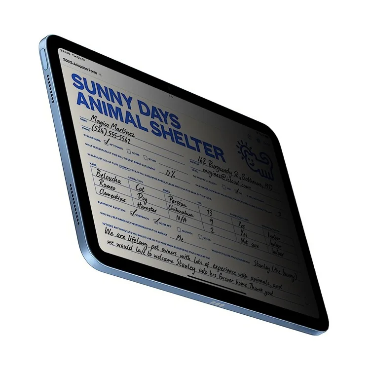 For iPad (2025) / 10.9 (2022) 0.3mm Arc Edge 180 Degree Anti-Peep Full Screen Tempered Glass Screen Protector Film