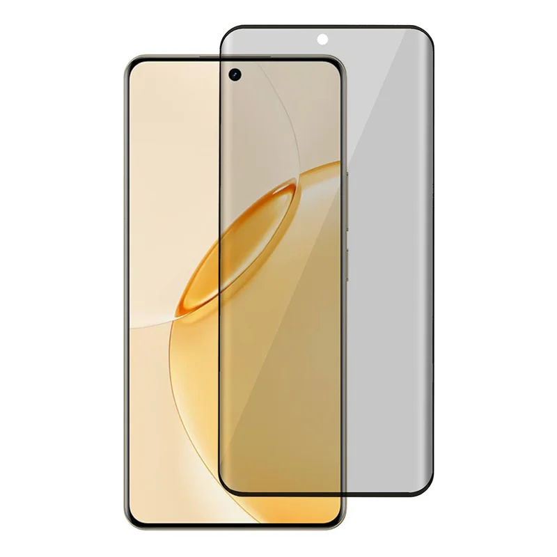 For Realme 16 Pro+ 5G Anti-Spy Privacy Full Screen Protector Side Glue Tempered Glass Film - Black