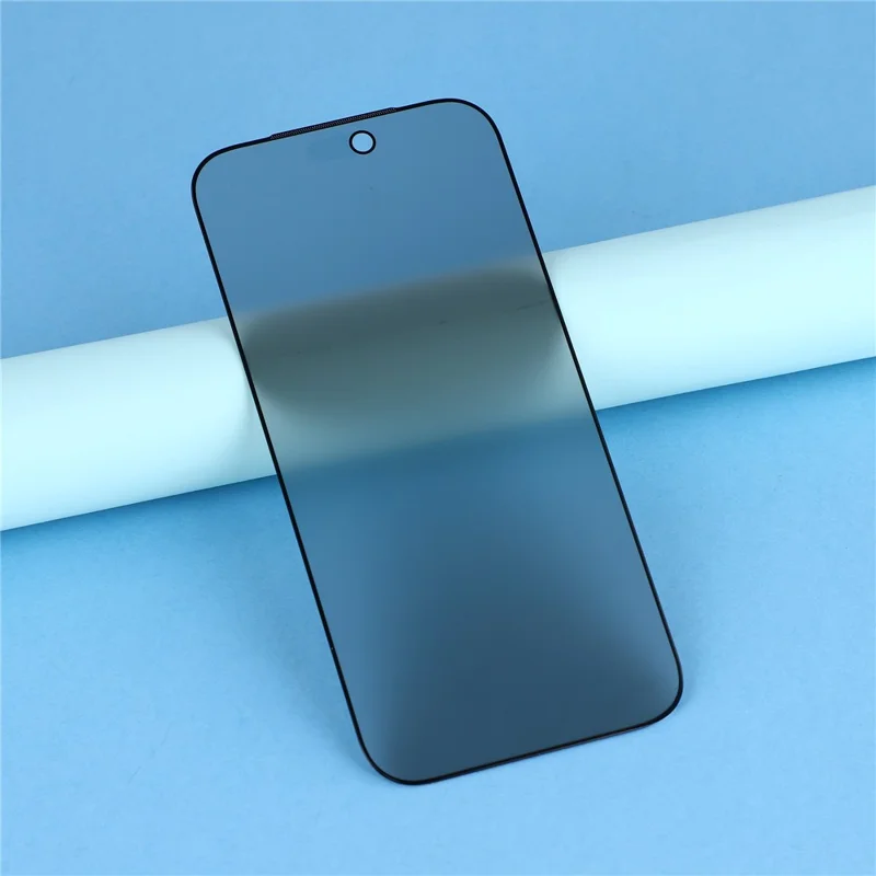 For iPhone 18 Pro Max Anti-Spy Tempered Glass Full Screen Protector Full Glue Matte Film with Dust-proof Net - Black