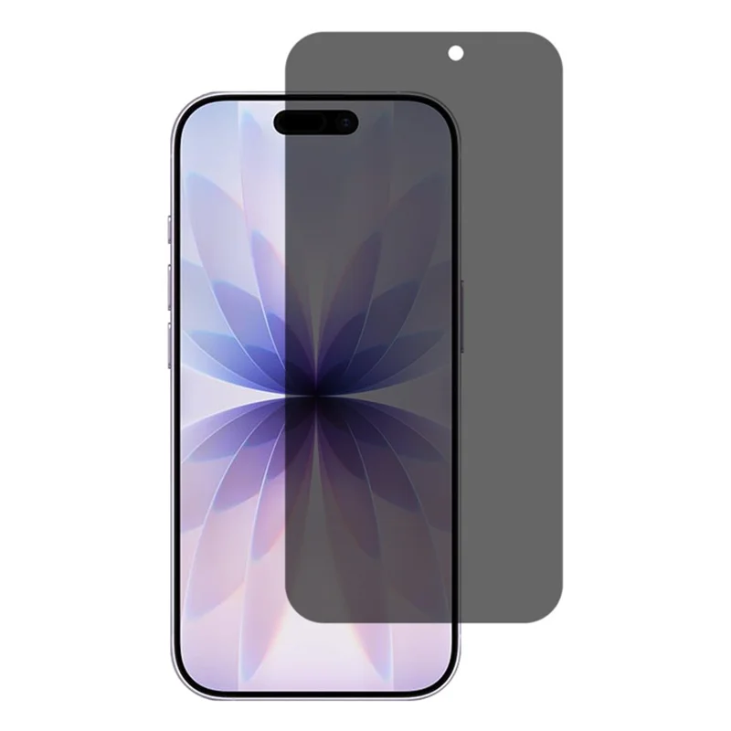 For iPhone 18 2.5D Arc Edge Anti Spy Full Screen Protector Full Glue High Aluminium-silicon Glass Film - Black - 1