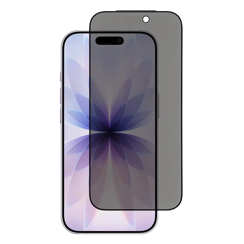 For iPhone 18 Anti-Spy Screen Protector Silk Printing High Aluminium-Silicon Glass Film - Black - 1