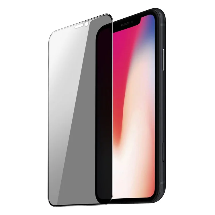 DUX DUCIS Screen Film for iPhone X / XS 5.8 inch Anti-spy High Aluminium-silicon Glass Screen Protector