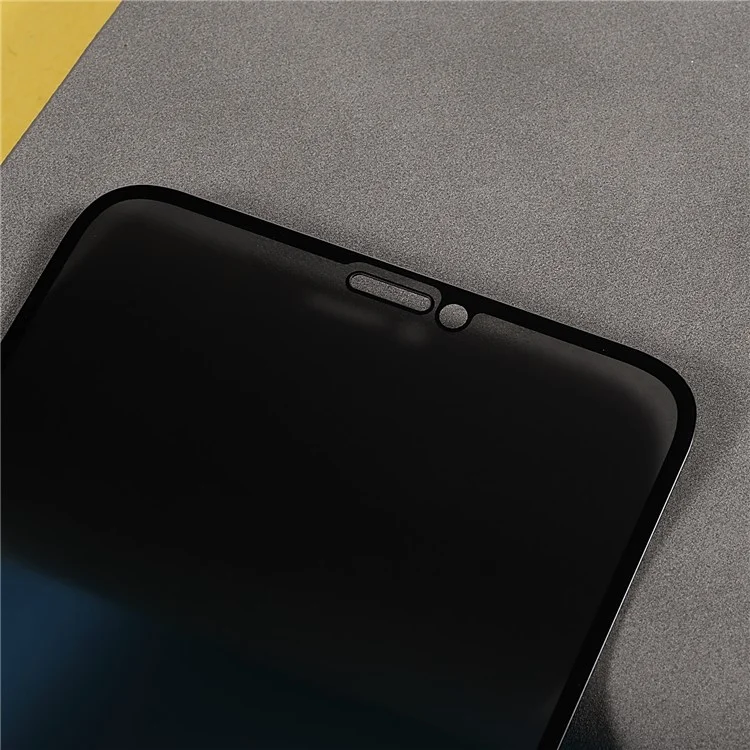 Pour iPhone 11 Pro Silk Printing Anti-peep Screen Protector High Aluminium-silicon Glass Full Cover Full Glue Film