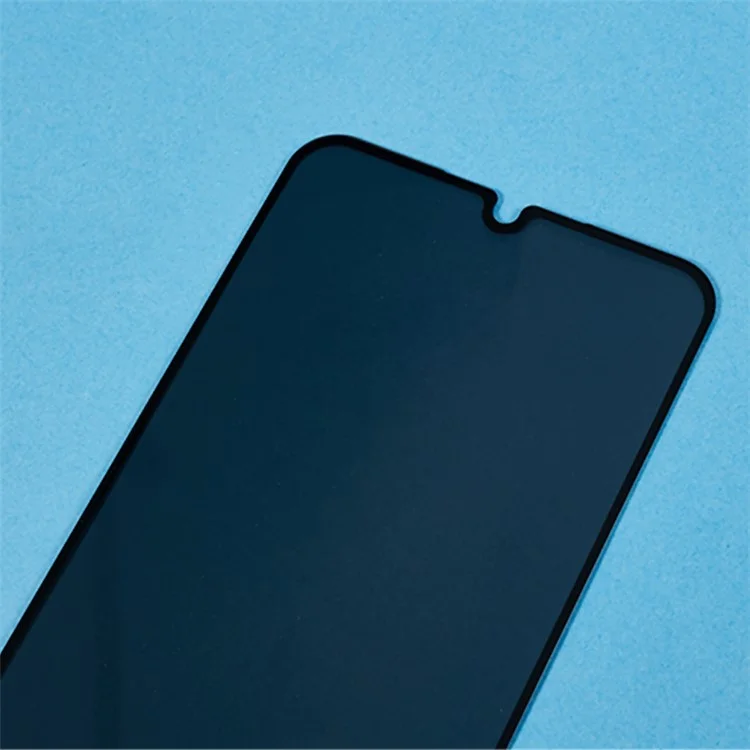 For Samsung Galaxy A25 5G (Global) / M34 Tempered Glass Film 180 Degree Anti-Peep Black Edge Screen Protector