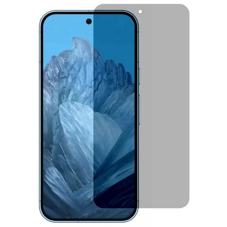 Per Google Pixel 9 / Pixel 9 Pro Pellicola Protettiva Schermo in Vetro Temperato Anti Spia Copertura Schermo Completa