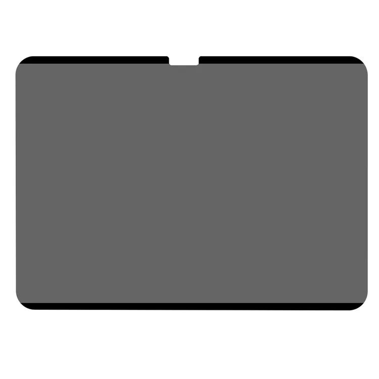 For iPad Pro 13 (2024) Privacy Screen Protector Magnetic Matte PET Film Reusable Shield
