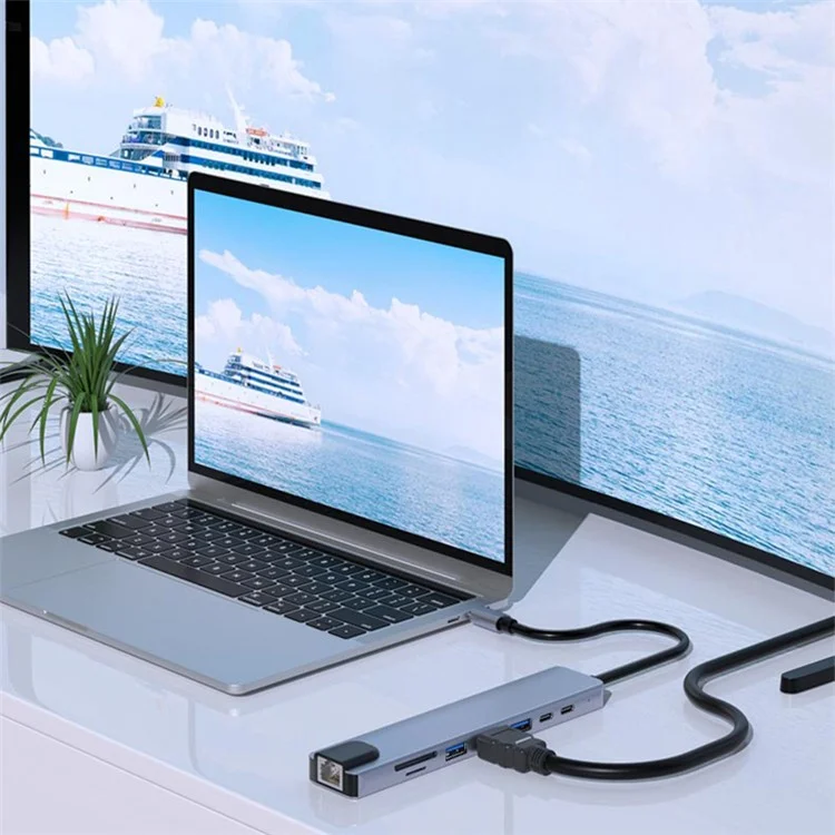 2017L Type-C to Type-Cx2+USB2.0+HD+USB3.0+TF / SD+Carte réseau 100Mbps Hub USB Dock de station d'accueil pour ordinateur portable téléphone