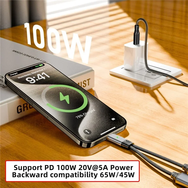 UC-030-TC001 USB-C Male to Dual Female Audio DAC AUX  /  100W PD Power Cable for Laptop / Tablet / Phone