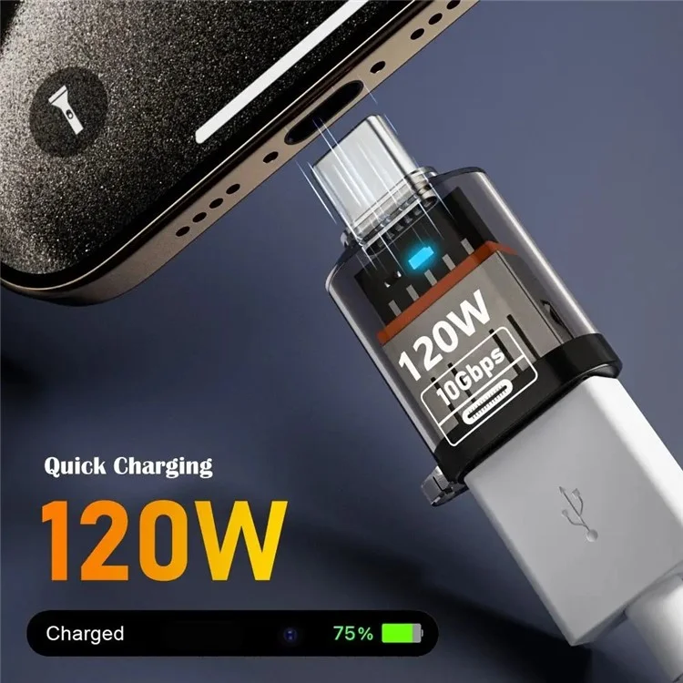 Type C Male to USB A Female Adapter 10Gbps 120W Fast Charging Transparent Shell OTG Converter - Transparent Black