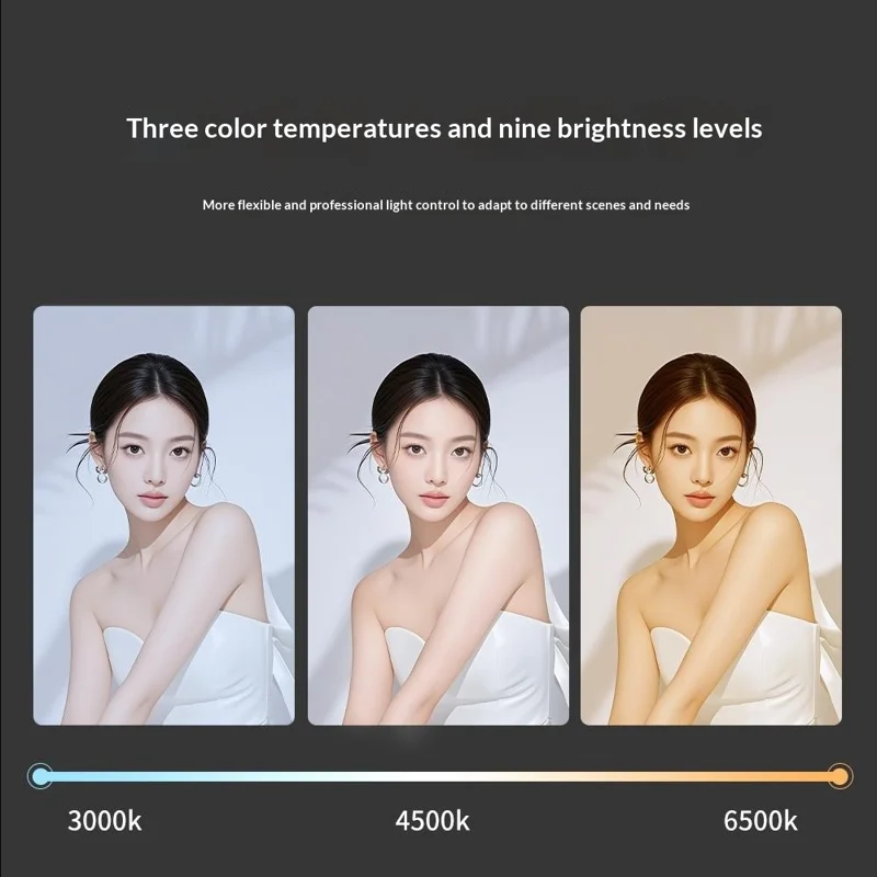 P61Q Live Streaming Selfie Stick Tripod Lamp 10 Inch Ring Light with Remote for Photography / Video Recording - Black