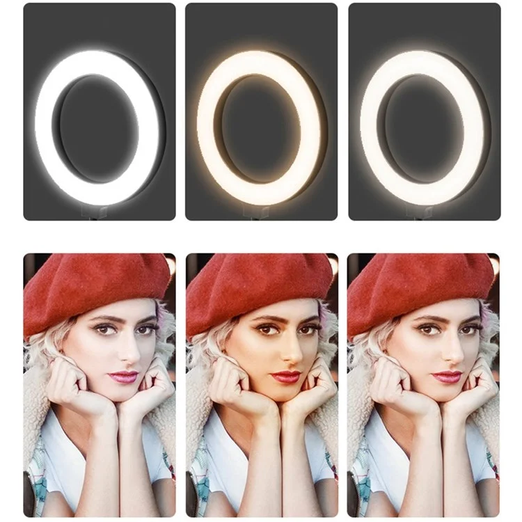 A-05 6-Zoll-Video-Light-LED-Ringlicht mit 2 Handyhalterungen für Webcam, Online-Unterricht, Live-Streaming, Fotografie