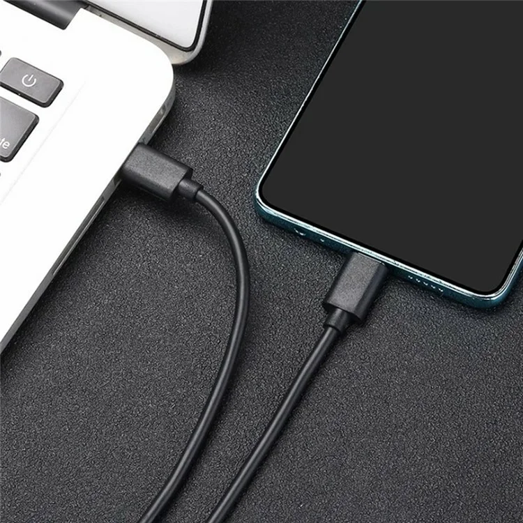2m 60W 3A Fast Charging Wire 480Mbps USB 2.0 Type-C to Type-C Data Cable