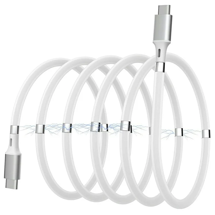 1m 2.4A Fast Charging Cable Magnetic Storage USB-C to USB-C 60W Data Cord