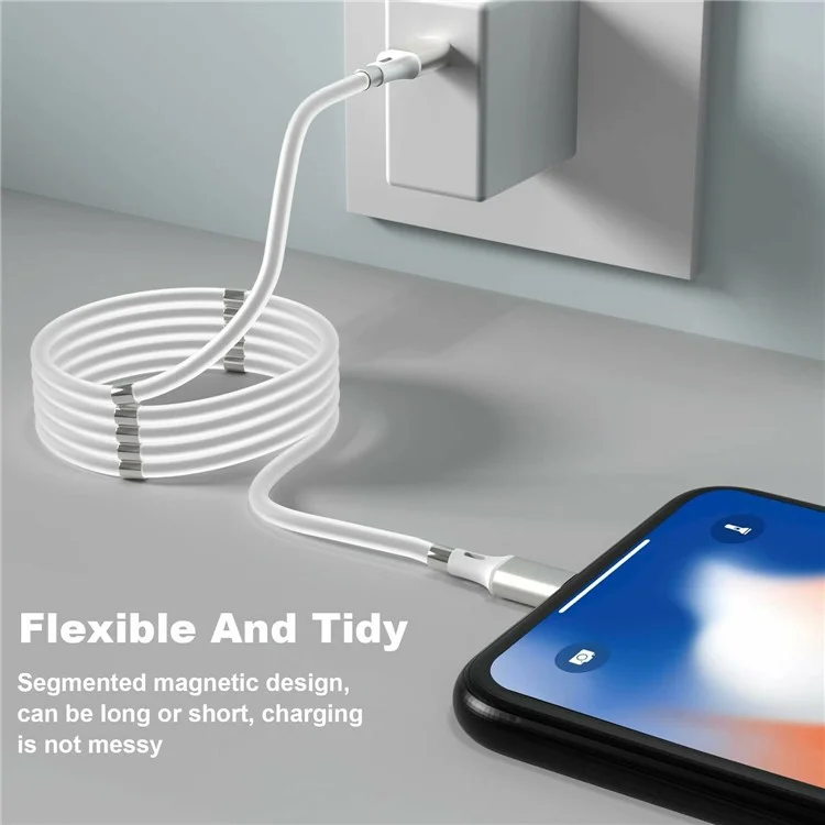 1m 2.4A Fast Charging Cable Magnetic Storage USB-C to USB-C 60W Data Cord