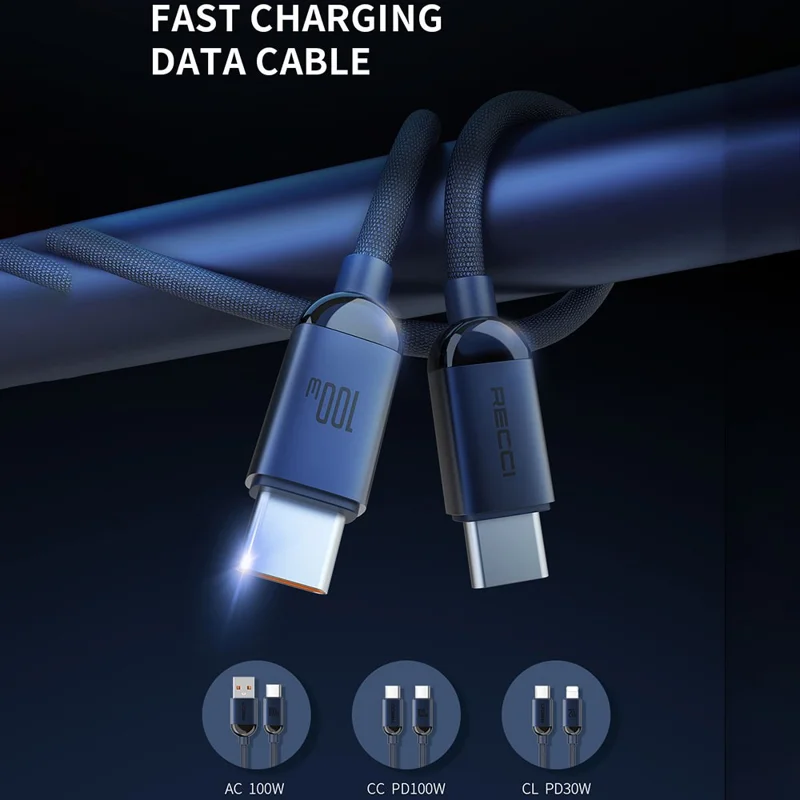 RECCI RS09CC 120cm 100W Type-C to Type-C Cable Braided Fast Charging Data Cord
