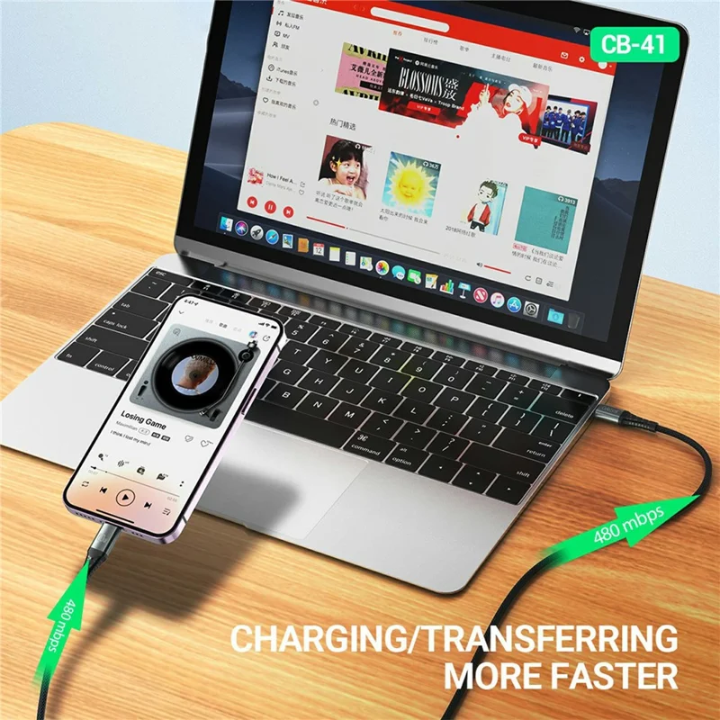 CELEBRAT CB-41C 1m USB-C to USB-C Cable 60W Fast Charging 480Mbps Data Transfer Wire
