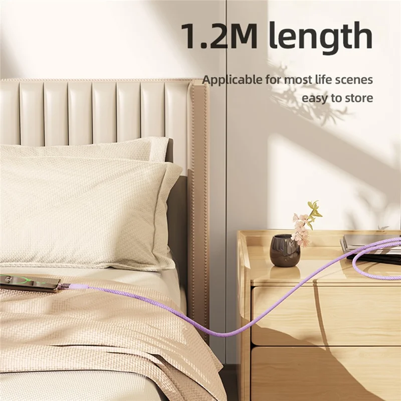 ROCK Z21 1.2m 100W USB-C to USB-C Cable 480Mbps Nylon Braided Transparent Data Cable - Black