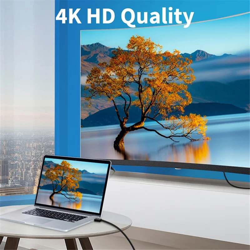 PQ099 3m Type-C Male to Male Data Cable Gen2 4K Projection Screen PD100W 5A Fast Charging Cable