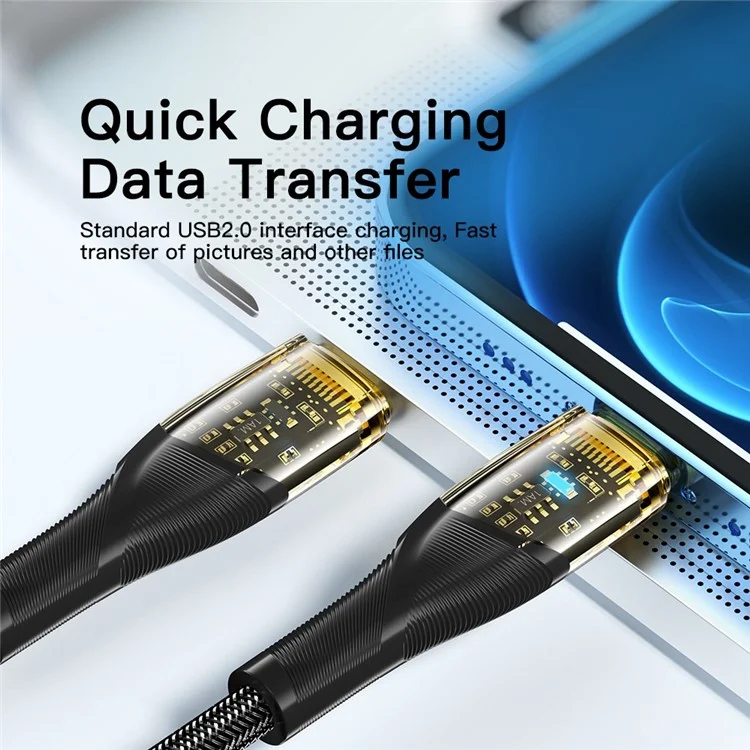 ESSAGER 1m Date Cable for iPhone, PD 29W Quick Charging Type-C to 6 Pin Transparent Charging Cord - Black