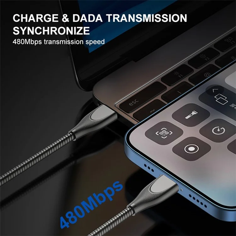 Câble ENKAY HAT PRINCE 1m Type-C vers Type-C PD 65W Charge rapide Tuyau en acier au carbone Printemps Cordon de données - Noir