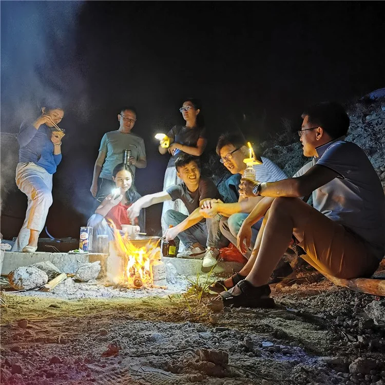 EYONGPV OWL-SP Solar Power Bank 1400mAh Outdoor Camping Emergency Portable Charger Solar Lamp - Yellow