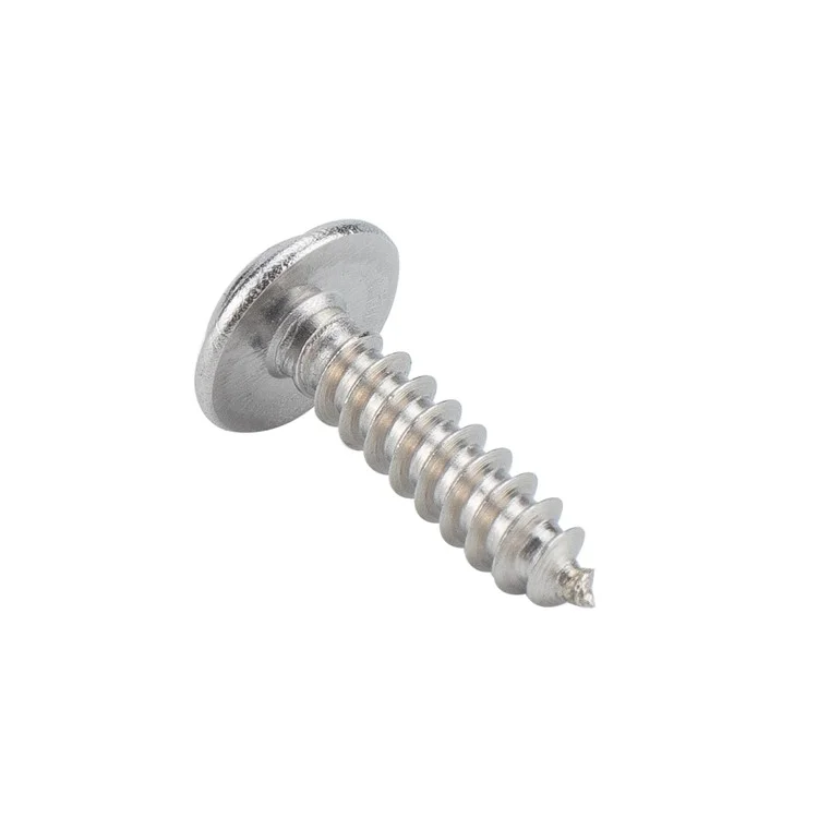 A2749 200Pcs Clip Nut et Vis Autotaraudeuse Assortiment Résistant à la Rouille de Type U