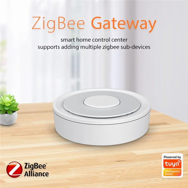 Passerelle concentrateur Zigbee pour Homekit Tuya, application Smart Life, pièces de contrôle vocal WiFi sans fil