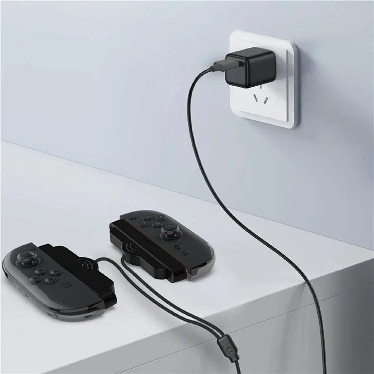 Câble de charge PGTECH GP-377 pour Nintendo Switch - Câble de chargement tressé 2 en 1 pour 2 Joy-Con