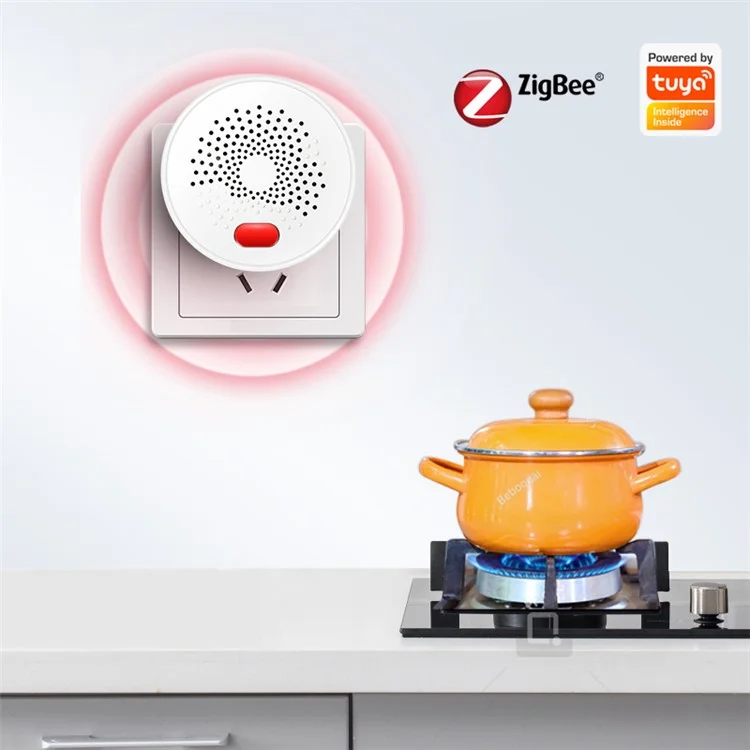 DY-RQ500A Tuya Smart Zigbee Gas Detector Alarm IEEE802.15.4 Combustible Gas Sensor - EU Plug