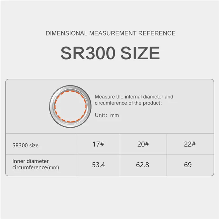 SR300 Multifunktionales Gesundheitsüberwachung Smart Ring Wasserdicht Intelligenter Fingerring Mit Ladekoffer - Silber / Größe 22