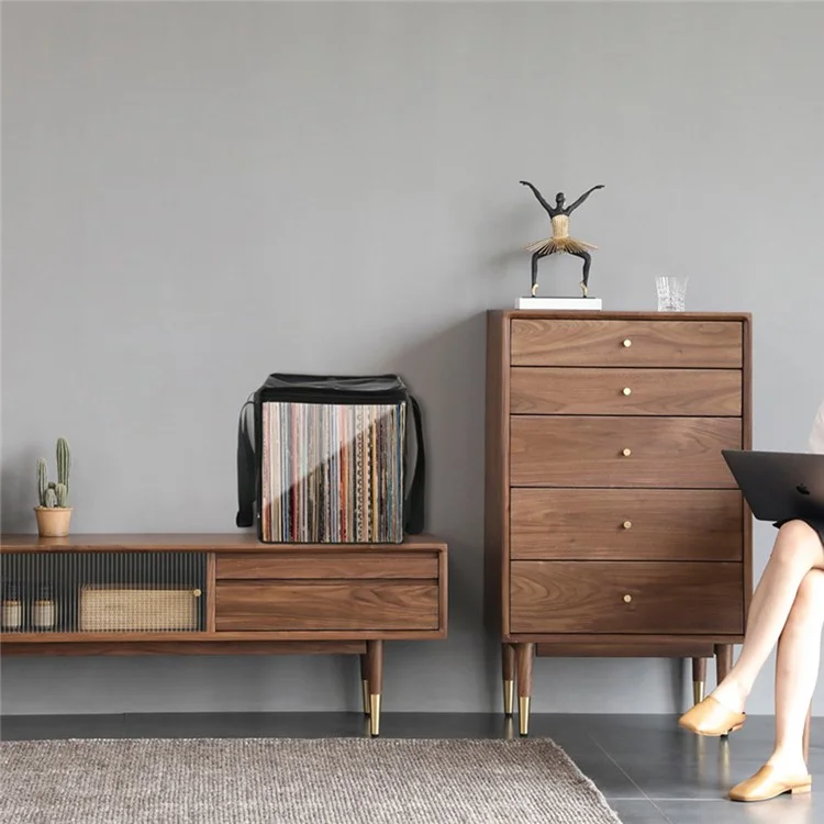 TXESIGN Klarer Fensteraufbewahrungsbeutel, der bis zu 50 Vinyl-Schallplatten-LPs organisieren kann.