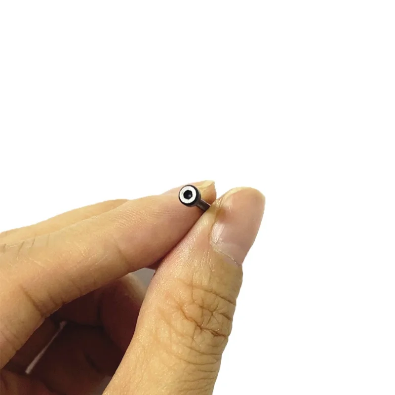 1 Paar Smart Watch Federstäbe für Huami Amazfit Active Edge Edelstahl-Uhr mit 2 Schraubendrehern