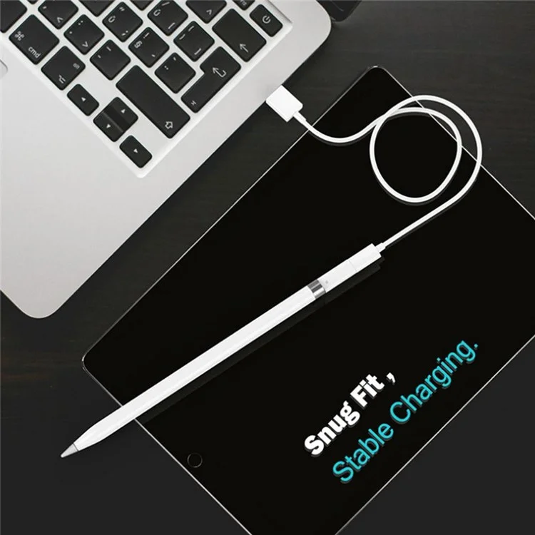 Адаптер-конвертер USB-C Type-C Female в 8-контактный Female Stylus Pen для зарядки Apple Pencil