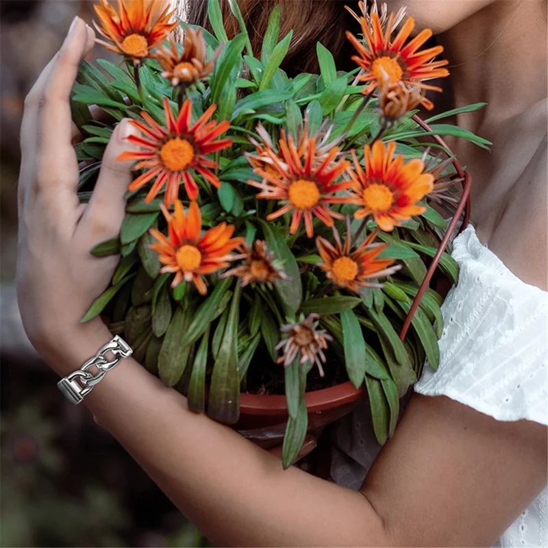 High-end Stainless Steel Smart Watch Band Replacement Band Strap for Fitbit Charge 6 / 5 - Silver