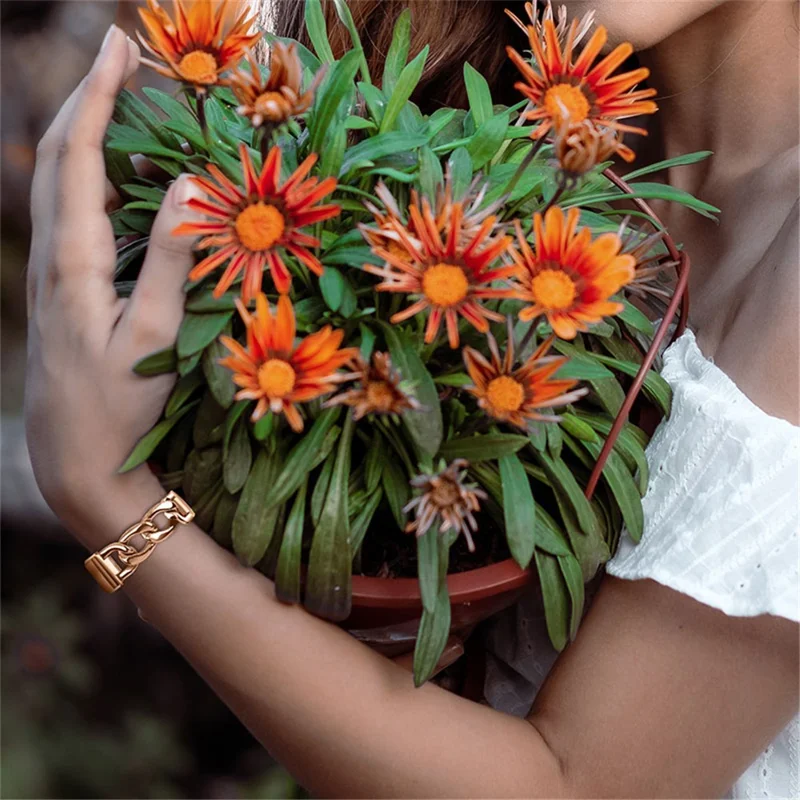 Replacement Watch Band Single Row Chain Watch Strap for Fitbit Charge 6 / 5 - Rose Gold