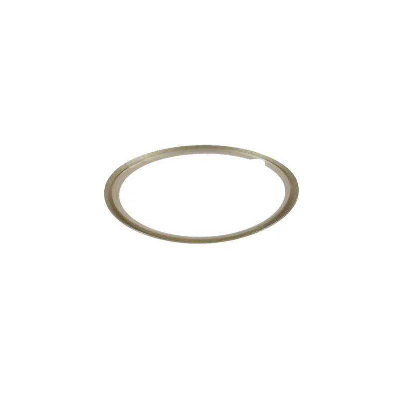 2Pcs Full Coverage Screen Protective PMMA Protector for Garmin Lily - Gold