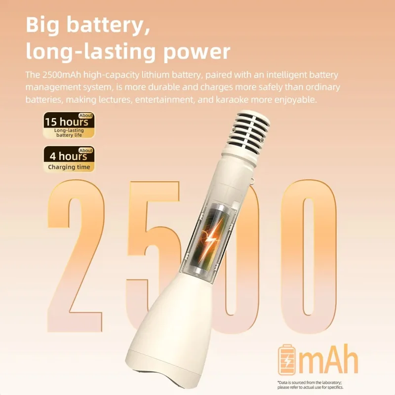 YANMAI Rauschunterdrückung kabelloses Handsender-Mikrofon für Sprachunterricht, Stimmenverstärker, Mini Bluetooth-Lautsprecher - Schwarz