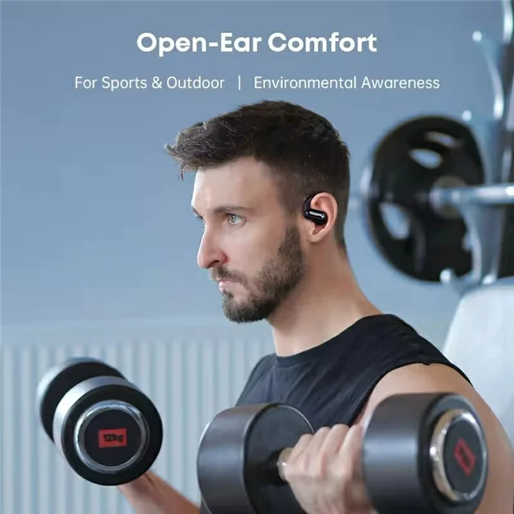 LANGSDOM TS05 Kabellose Bluetooth-kompatible Kopfhörer mit Mikrofon Ohrhörer Musik Anruf Headset - Schwarz