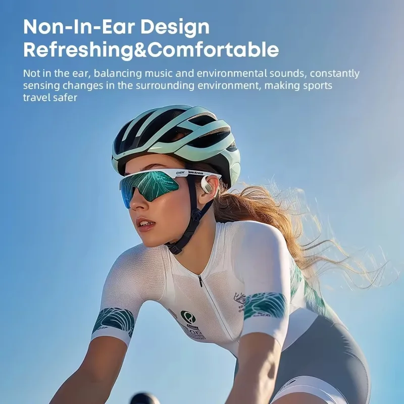 LANGSDOM TE09 Wireless Earphones OWS Ear-Hook Earbuds for Music / Calls - Black