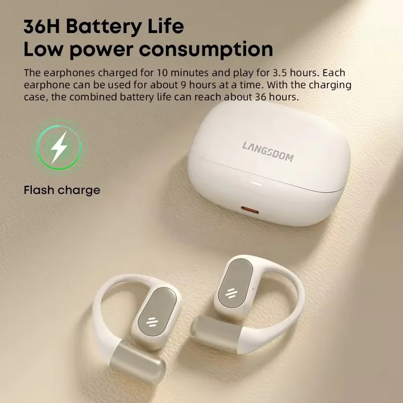 LANGSDOM TE09 Wireless Earphones OWS Ear-Hook Earbuds for Music / Calls - Black