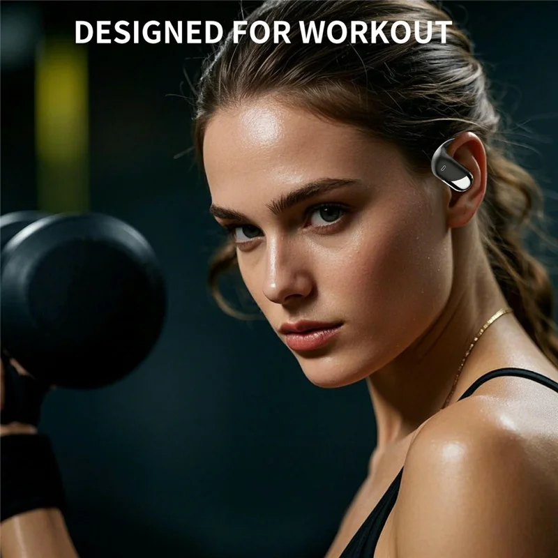 Q16H3 Ear Hook Bluetooth-compatible 5.3 Earbuds Open-Ear AI Translation Wireless Earphones - Black