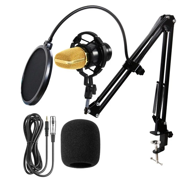Ensemble de microphones à condensateur BM-700 Universel pour l'enregistrement