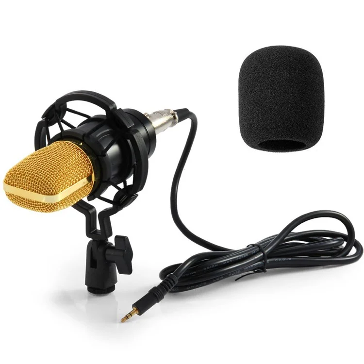 Ensemble de microphones à condensateur BM-700 Universel pour l'enregistrement