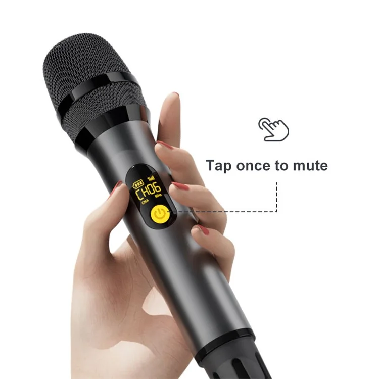 Microphone sans fil UHF pour karaoké à domicile H21H, 2 micros + 1 récepteur - Gris