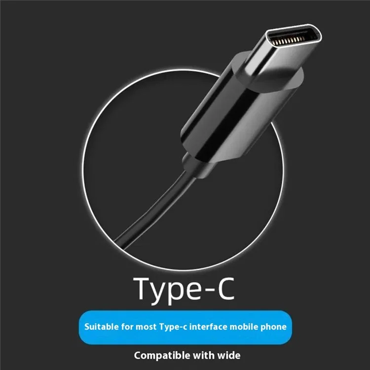 DUDAO X1ProT Type-C Wired In-Ear Earphones HiFi Sound Headphones for iPhone Huawei - Tarnish