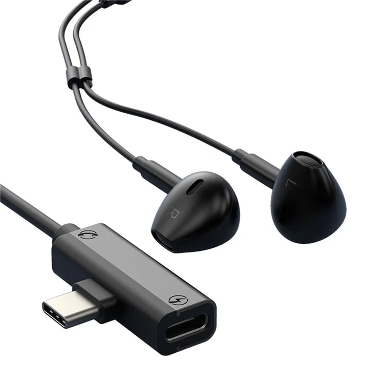 Type-C Wired Digital Earphones PD Charging Voice Call Line Control Singing Recording Headset - Grey