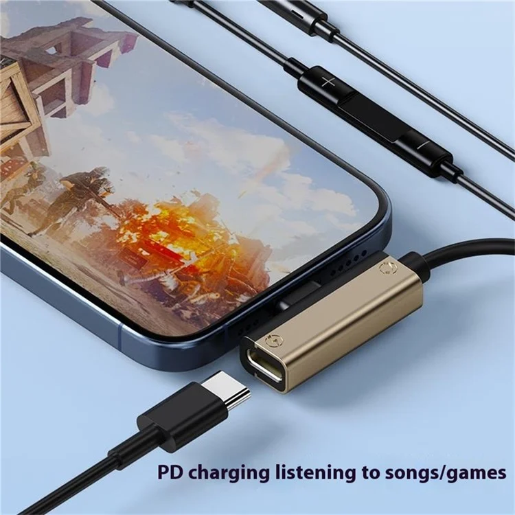 Type-C Wired Digital Earphones PD Charging Voice Call Line Control Singing Recording Headset - Grey