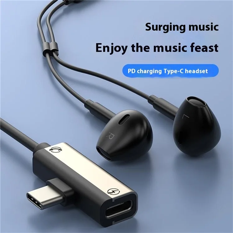 Type-C Wired Digital Earphones PD Charging Voice Call Line Control Singing Recording Headset - Grey